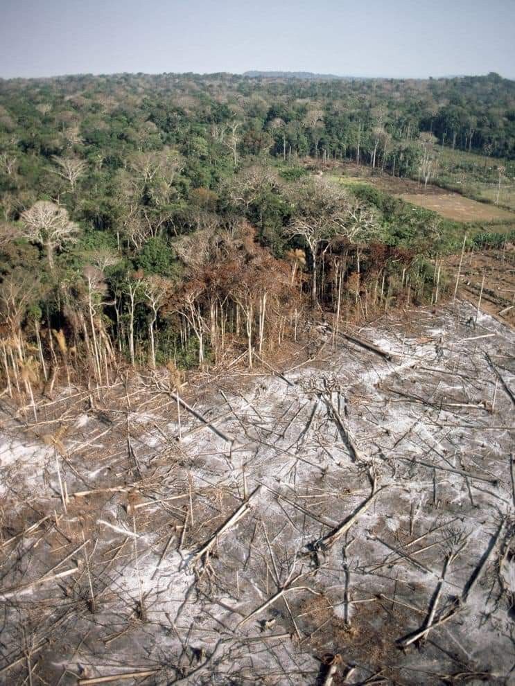 Lingkungan alam yang perlu dijaga